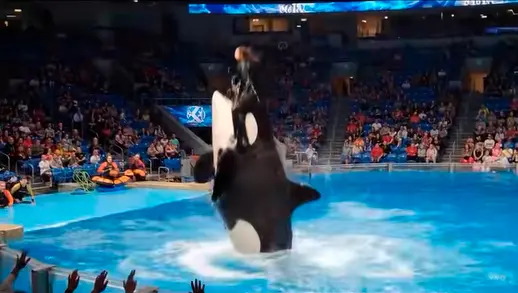 orca-video-entrenadora_48541084_20250812210944