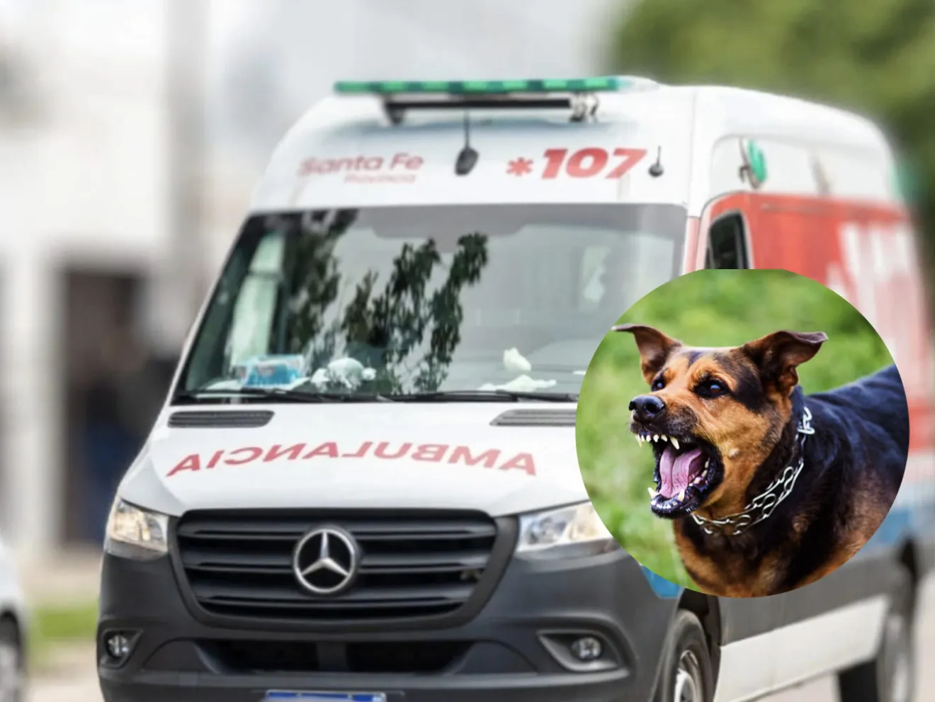 EC3B8F67-DF59-4860-8B43-41438E656E6C