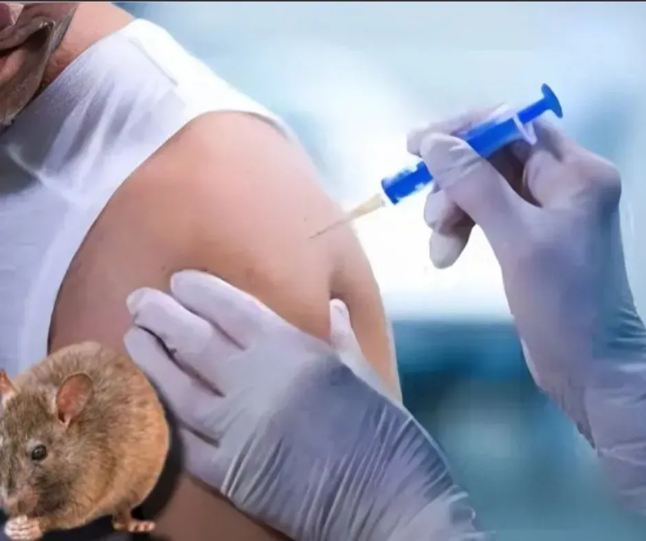 1_20251103_154629_0000