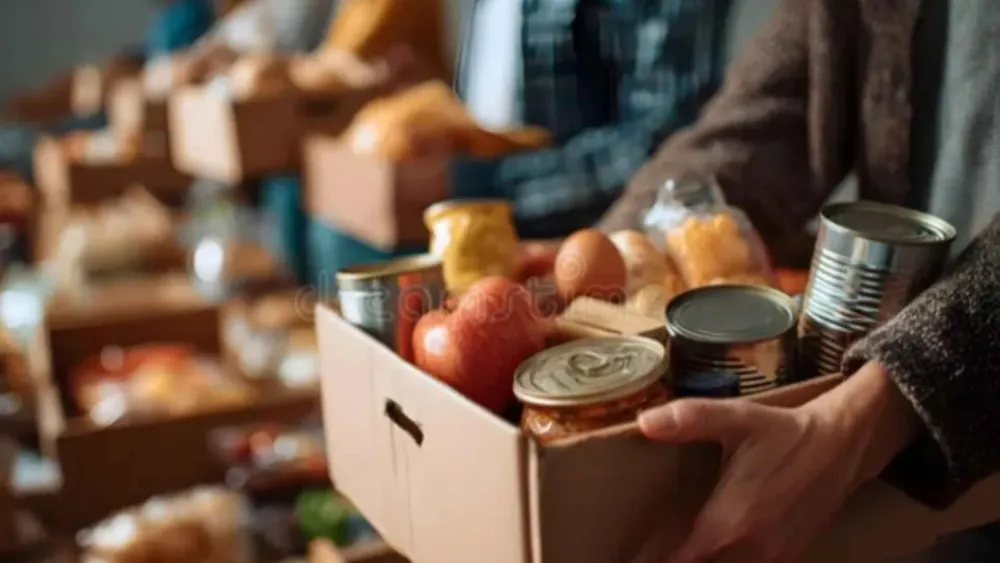 placa PORTAL_20260209_153559_0000