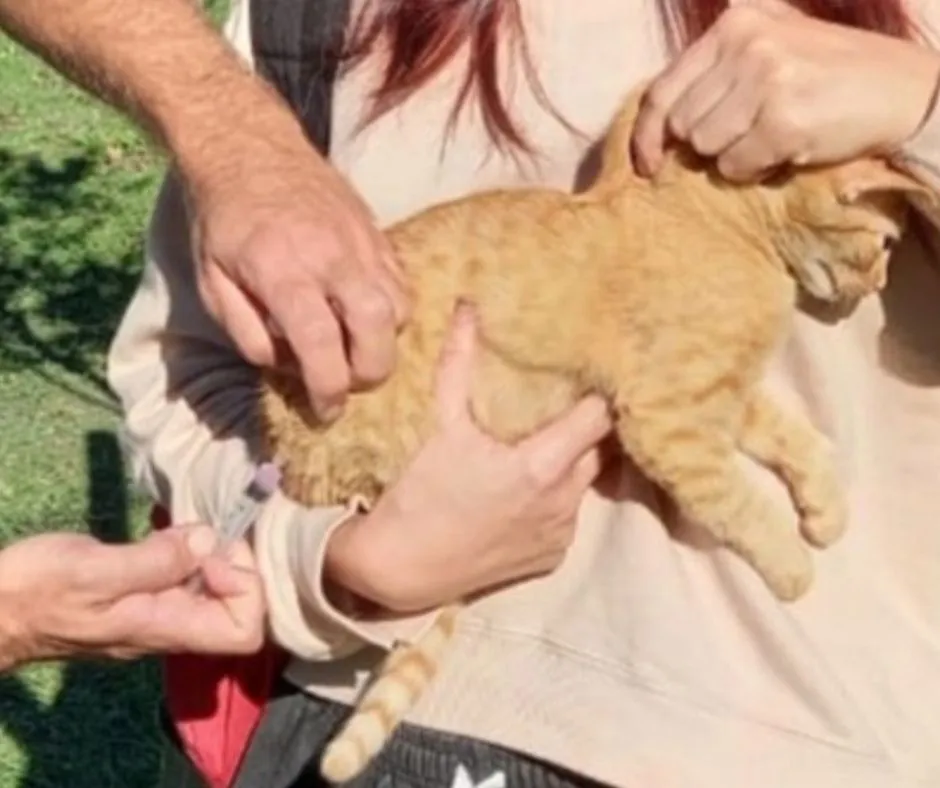 1_20251028_195244_0000