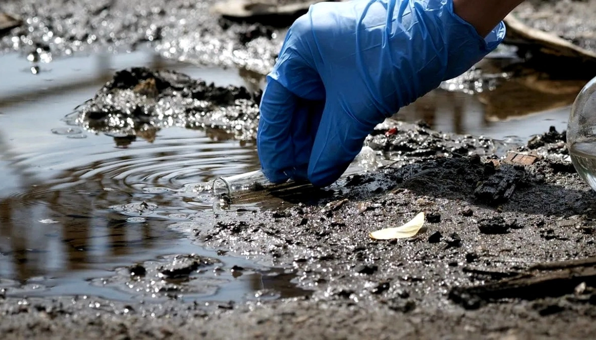 20251107121340_whatsapp-image-2025-11-07-at-12-12-04