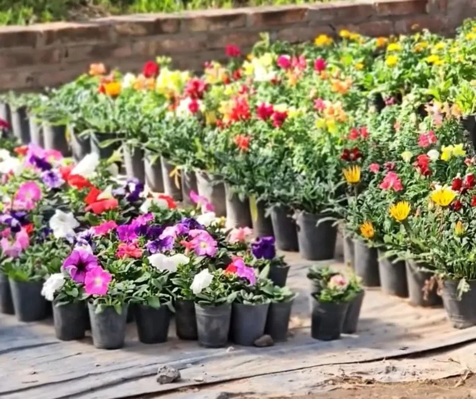 1_20251013_161112_0000