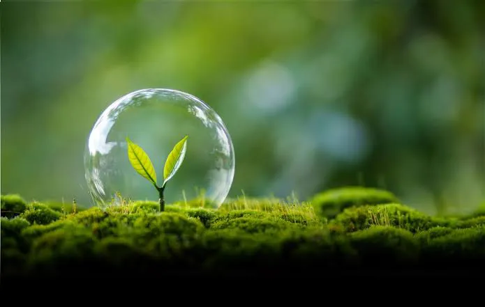 images (37)