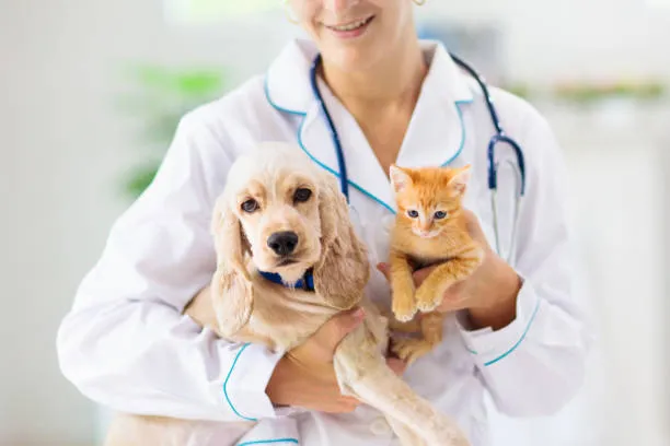 istockphoto-1171733307-612x612