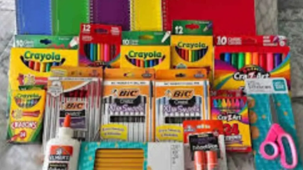 placa PORTAL_20260204_121502_0000