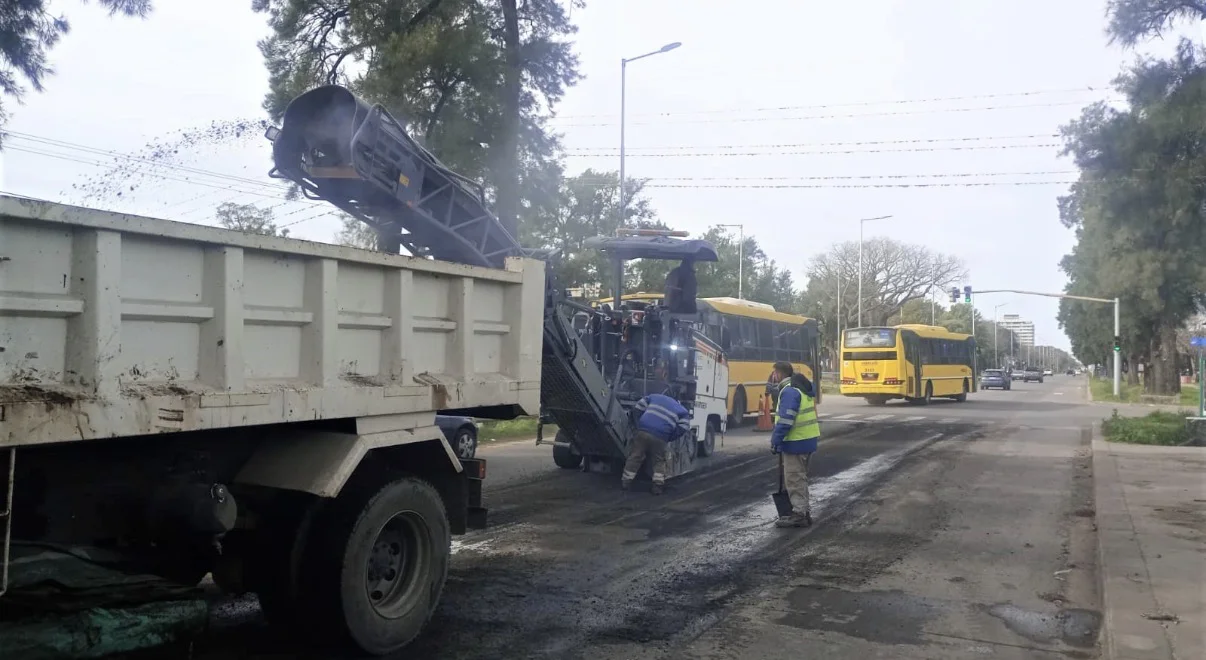 IMG_4740