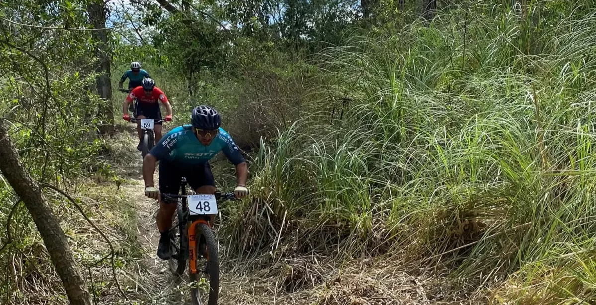 7a8d4d939bf759d5c0300fbd92103c61