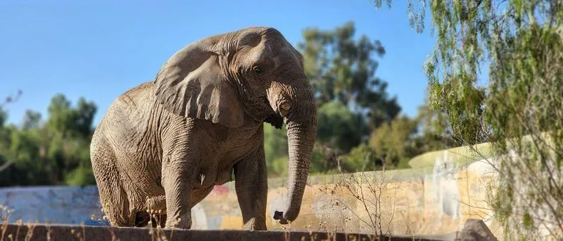 whatsapp-image-2025-04-02-at-095426-e1743599277231jpeg