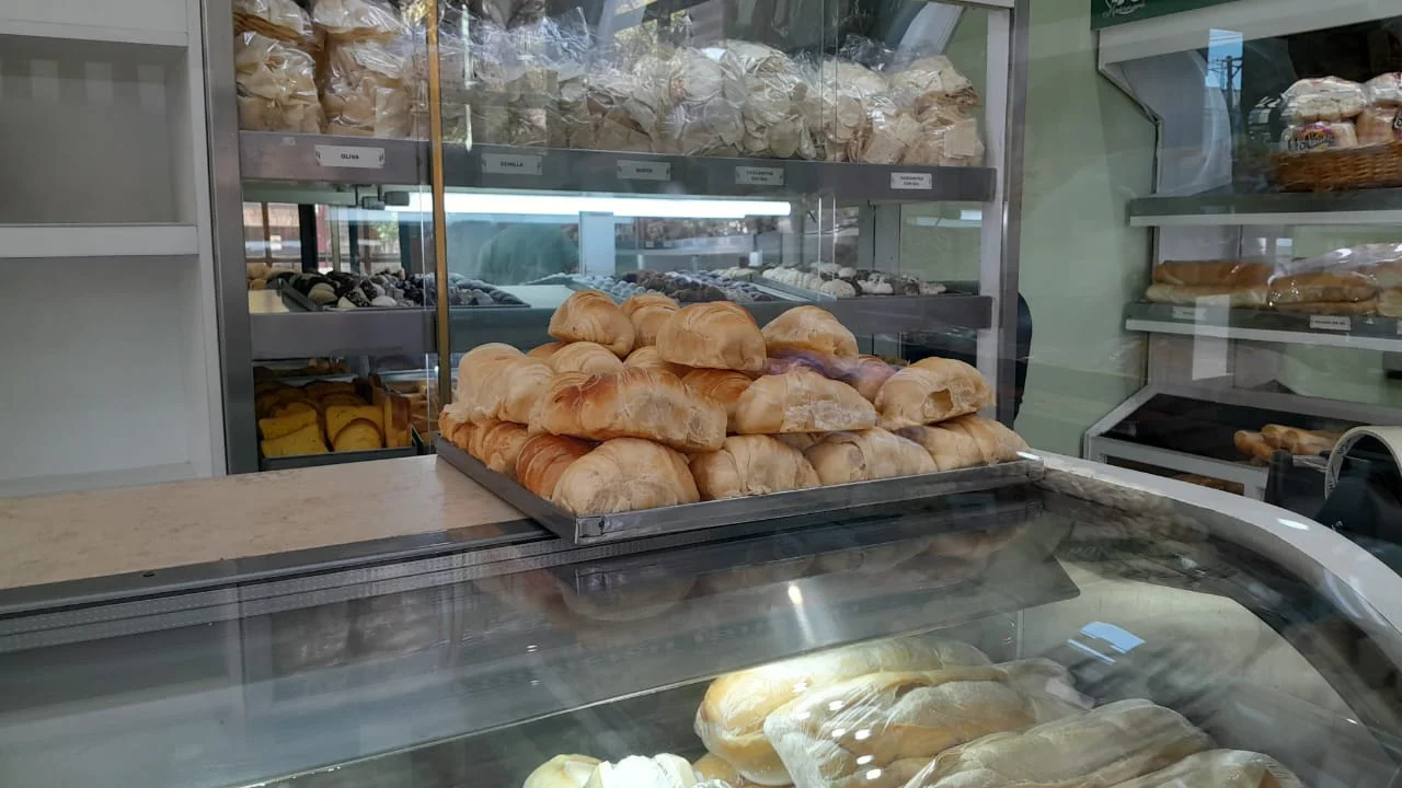 WhatsApp-Image-2026-03-11-at-10.55.52