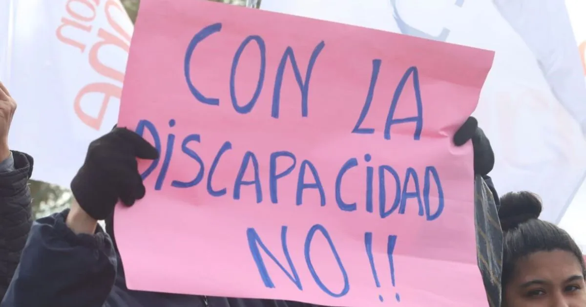 ley-de-emergencia-en-discapacidad