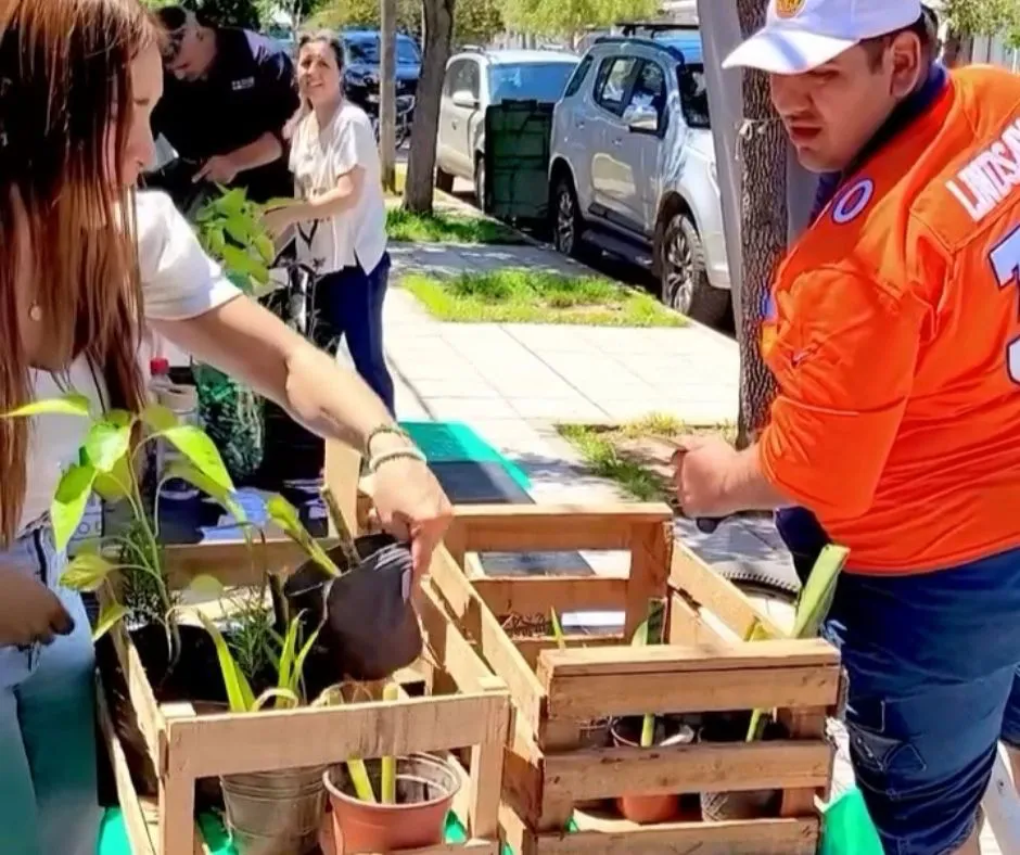 1_20251115_203721_0000