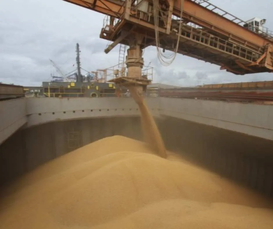 Copia de PLANTILLA IMAGEN PORTAL Y REDES_20251210_142359_0000