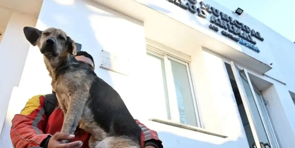 JYbCBlkWPG_1300x655__original