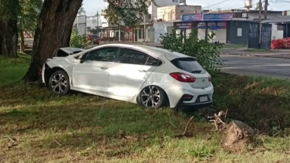 placa PORTAL_20260216_150004_0000