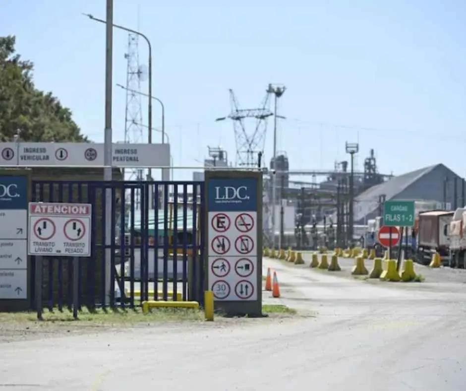 Copia de PLANTILLA IMAGEN PORTAL Y REDES_20251218_153232_0000