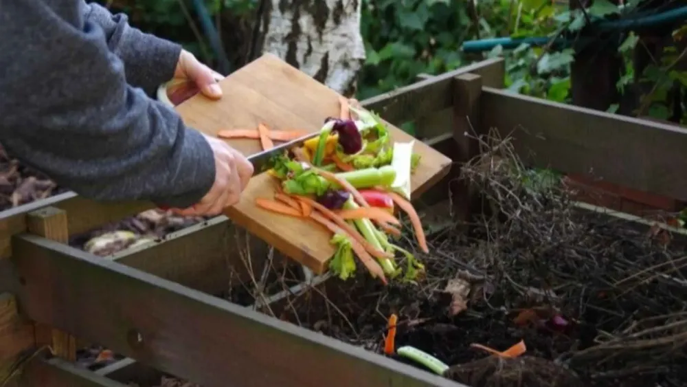 placa PORTAL_20251227_215657_0000