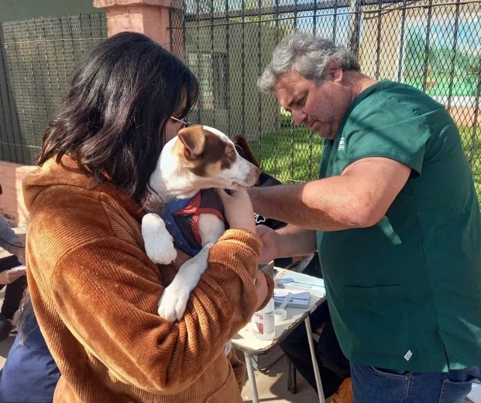 1_20250915_085345_0000