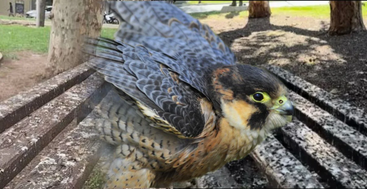 WhatsApp Image 2026-03-23 at 6.07.24 PM