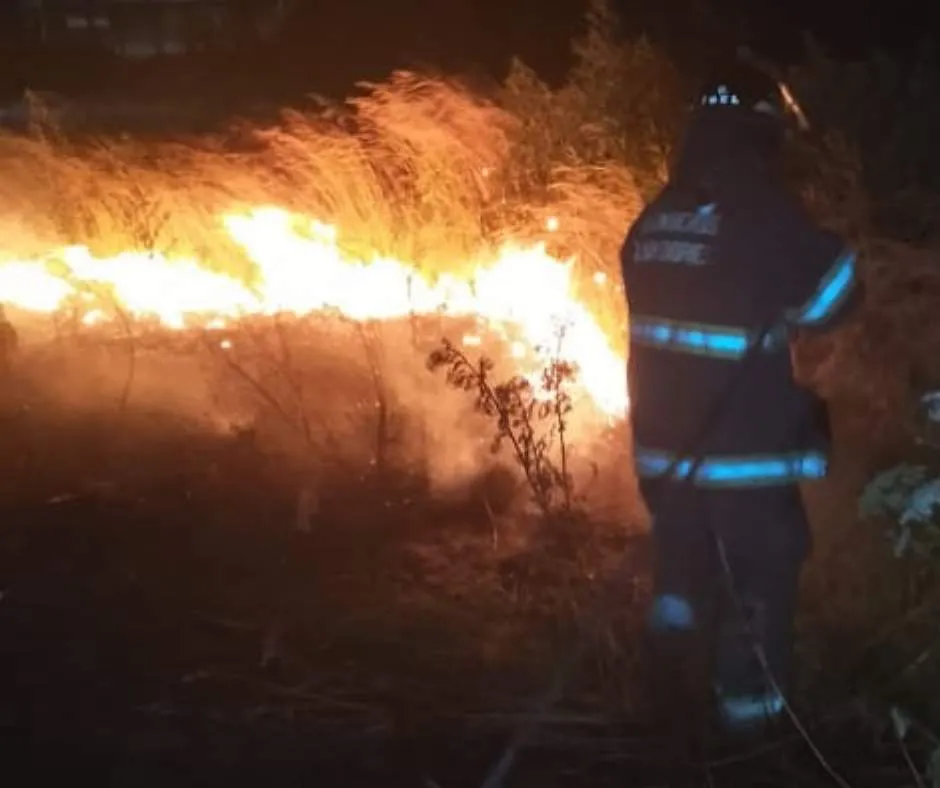 Copia de PLANTILLA IMAGEN PORTAL Y REDES_20251207_110210_0000