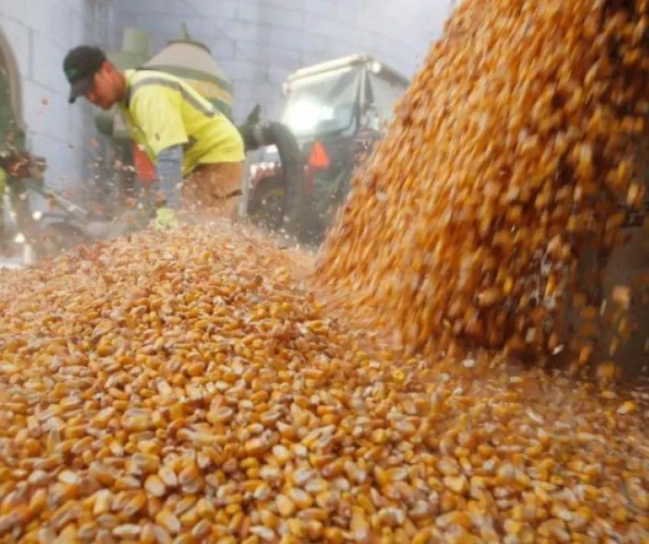 1_20250830_122851_0000